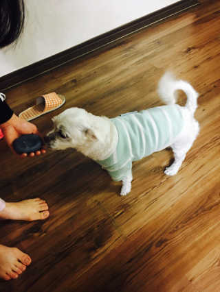 김야옹님이 올린 리뷰 사진 1