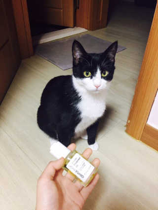 후개미님이 올린 리뷰 사진 1