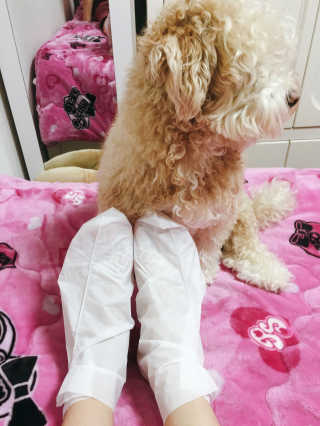 임금지님이 올린 리뷰 사진 3
