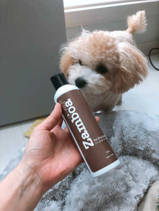 모모님이 올린 리뷰 사진 2