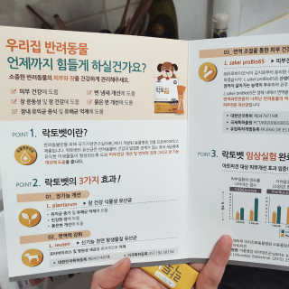 쭈뭉펑님이 올린 리뷰 사진 3