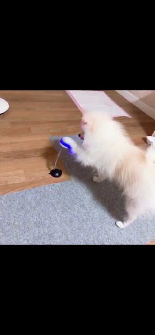 윰쭈리님이 올린 리뷰 사진 2