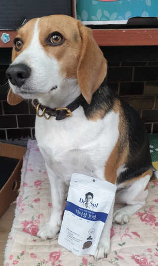beaglelove님이 올린 리뷰 사진 1