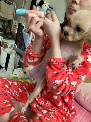 은희몬님이 올린 리뷰 사진 4