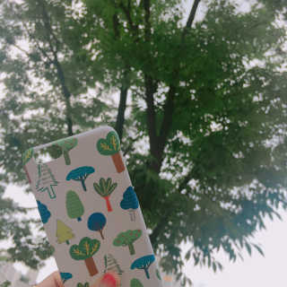 경이님이 올린 리뷰 사진 1
