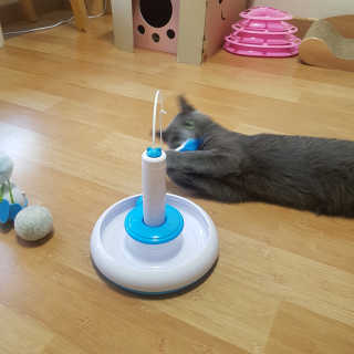 쿠로님이 올린 리뷰 사진 1