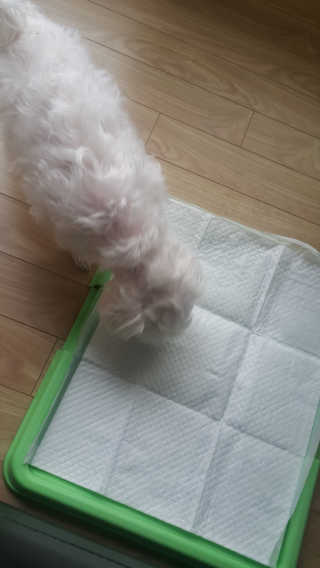 쭈리미~~님이 올린 리뷰 사진 2