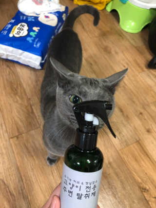 최재화님이 올린 리뷰 사진 2