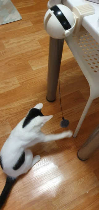 Juava님이 올린 리뷰 사진 3
