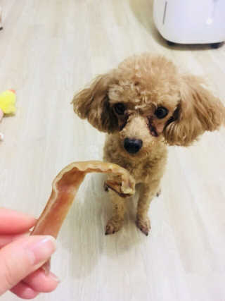 장정환님이 올린 리뷰 사진 2