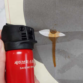 라온시연님이 올린 리뷰 사진 3