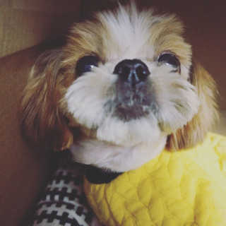 향이님이 올린 리뷰 사진 4