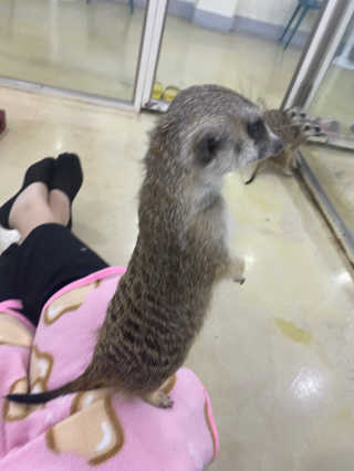 밍또님이 올린 리뷰 사진 3