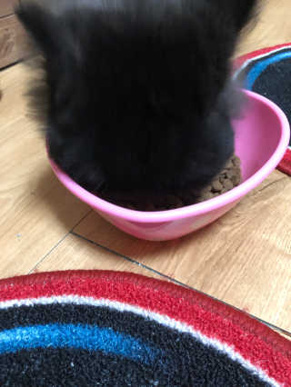 정고운님이 올린 리뷰 사진 2