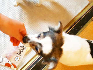 AnaisSH님이 올린 리뷰 사진 1