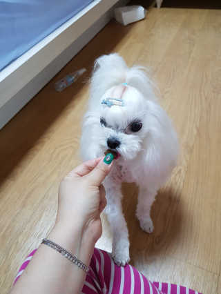 지뿡님이 올린 리뷰 사진 1