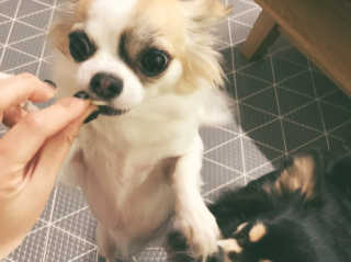 은쓸님이 올린 리뷰 사진 3