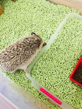 raonhae님이 올린 리뷰 사진 3