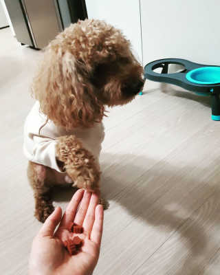 narae님이 올린 리뷰 사진 3