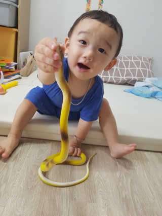 hihihisu님이 올린 리뷰 사진 1