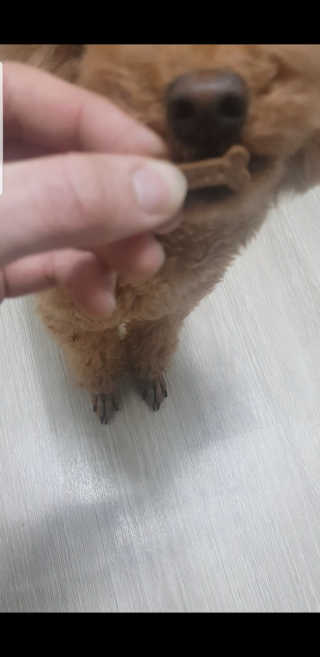 aks0225님이 올린 리뷰 사진 2
