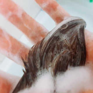 바니님이 올린 리뷰 사진 3