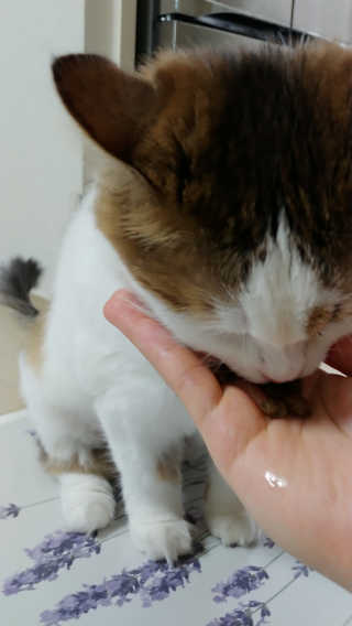 김재이님이 올린 리뷰 사진 4