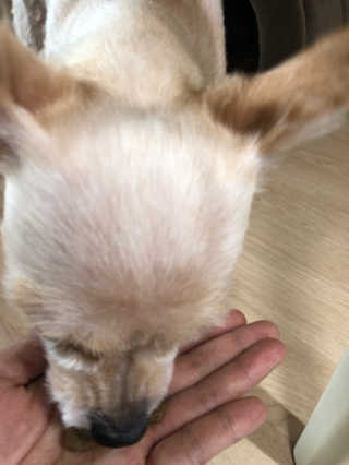 뽀미니님이 올린 리뷰 사진 2