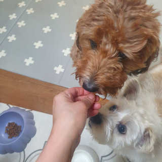포비맘님이 올린 리뷰 사진 3