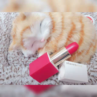 Hi♥️KITTY님이 올린 리뷰 사진 3