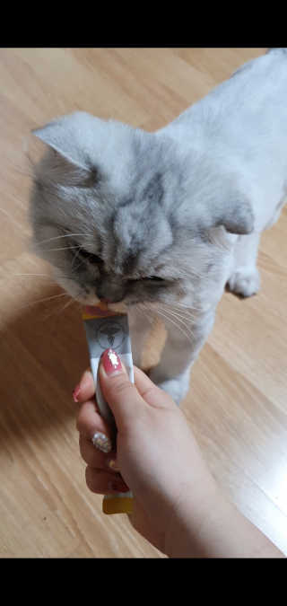 숩니숩니님이 올린 리뷰 사진 3
