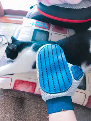 Four paws 리뉴얼 포포즈 매직코트 털 제거 브러쉬 — 3.5점을 준 리뷰어가 2018년 8월 올린 사용 사진