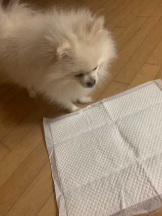 봉봉달봉님이 올린 리뷰 사진 2