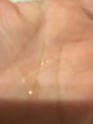 skaduce님이 올린 리뷰 사진 1
