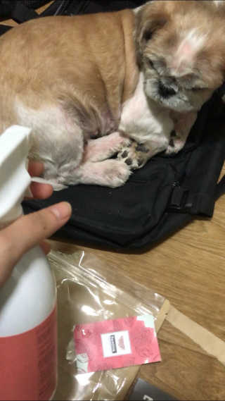 해피해피님이 올린 리뷰 사진 3