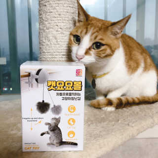차엘로이님이 올린 리뷰 사진 1