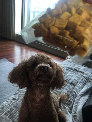 xion님이 올린 리뷰 사진 4