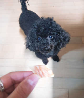 Green님이 올린 리뷰 사진 1