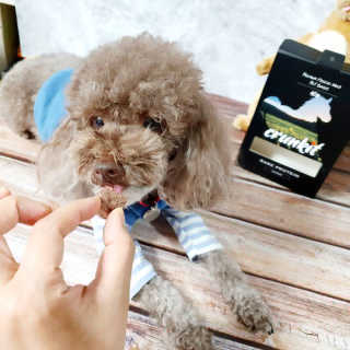 달콤오기님이 올린 리뷰 사진 4