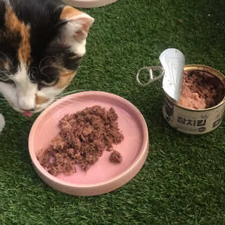 jins님이 올린 리뷰 사진 3