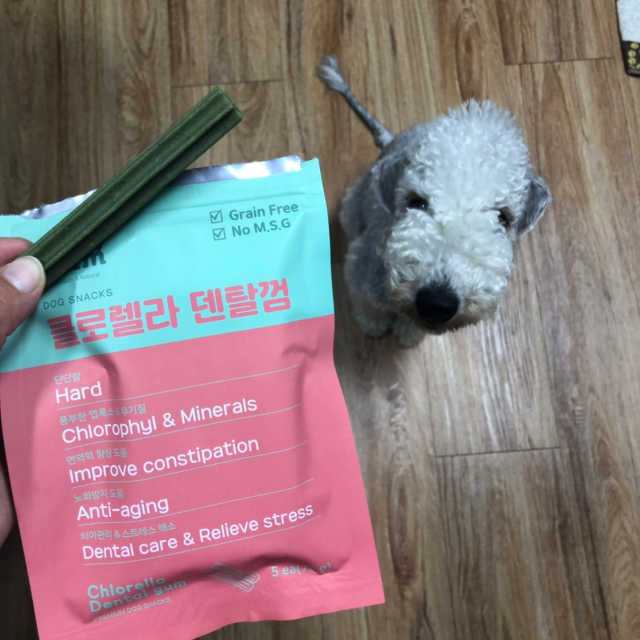 [푸디웜] 강아지 저알러지 수제간식 4종세트 리뷰 사진