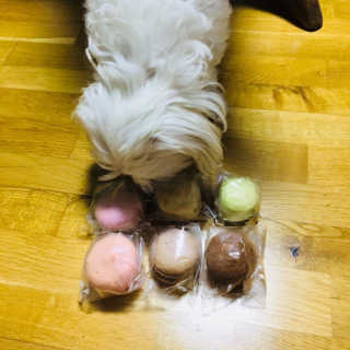 M카롱 반할만큼 달콤한 수제마카롱 — 3점을 준 리뷰어가 2018년 5월 올린 사용 사진