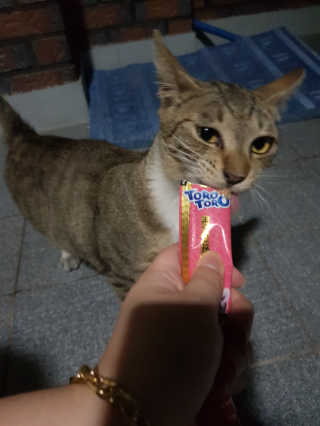 흥이님이 올린 리뷰 사진 4