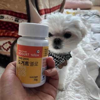 율리킴님이 올린 리뷰 사진 1