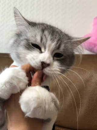 도토밤님이 올린 리뷰 사진 2