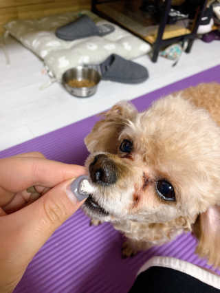 랑이님이 올린 리뷰 사진 1