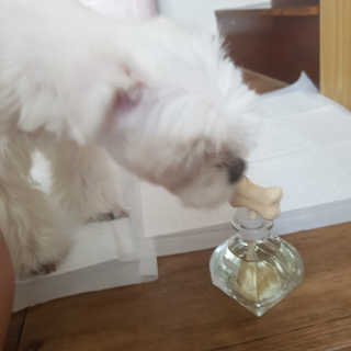 뽀오오옹님이 올린 리뷰 사진 4