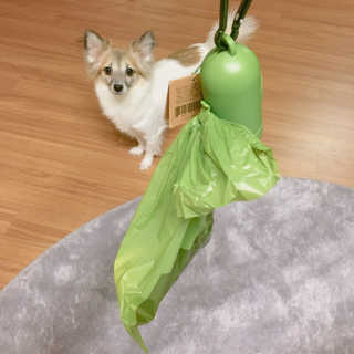 네지네지님이 올린 리뷰 사진 2