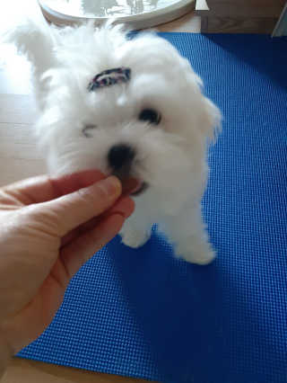 꿍님이 올린 리뷰 사진 3