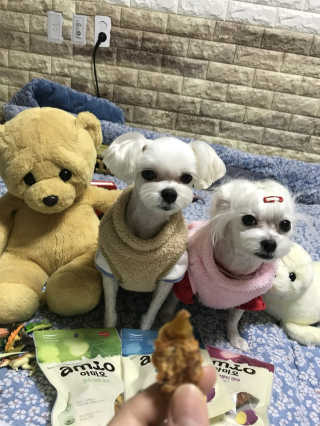 풀무원 아미오 고구마말이 3종  연어-닭가슴살-오리 — 5점을 준 리뷰어가 2017년 12월 올린 사용 사진